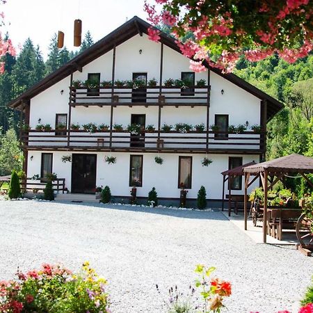 Casa Ursului Villa Aranyosvágás Kültér fotó