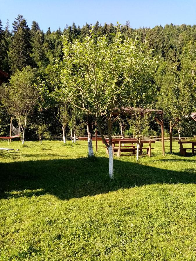 Casa Ursului Villa Aranyosvágás Kültér fotó