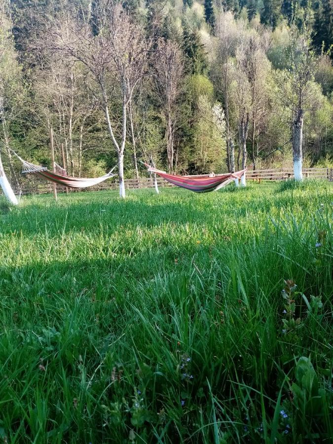 Casa Ursului Villa Aranyosvágás Kültér fotó
