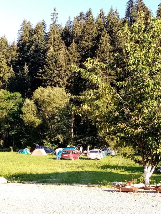 Casa Ursului Villa Aranyosvágás Kültér fotó
