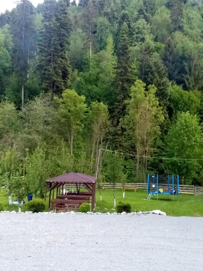 Casa Ursului Villa Aranyosvágás Kültér fotó