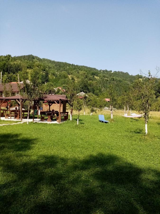 Casa Ursului Villa Aranyosvágás Kültér fotó
