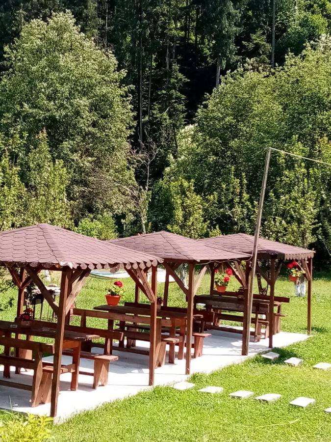 Casa Ursului Villa Aranyosvágás Kültér fotó