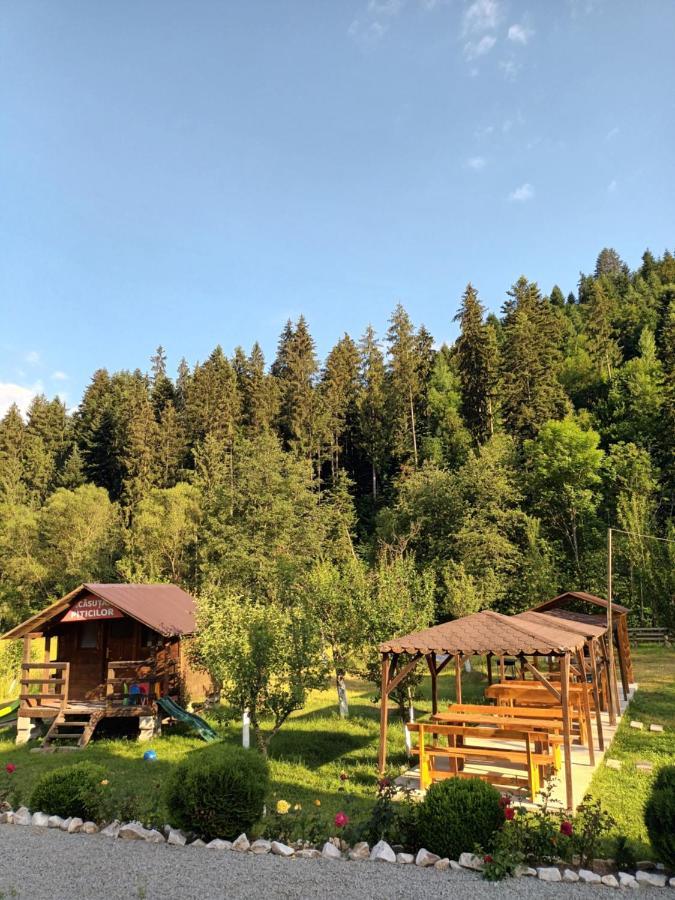 Casa Ursului Villa Aranyosvágás Kültér fotó
