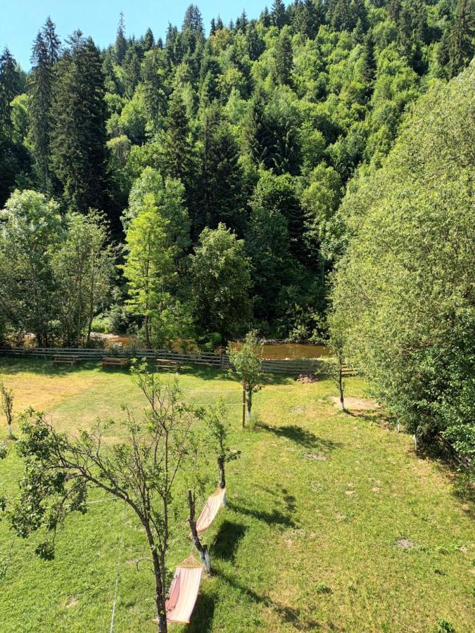 Casa Ursului Villa Aranyosvágás Kültér fotó