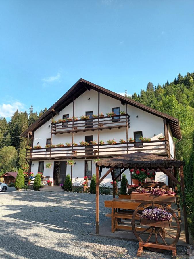 Casa Ursului Villa Aranyosvágás Kültér fotó