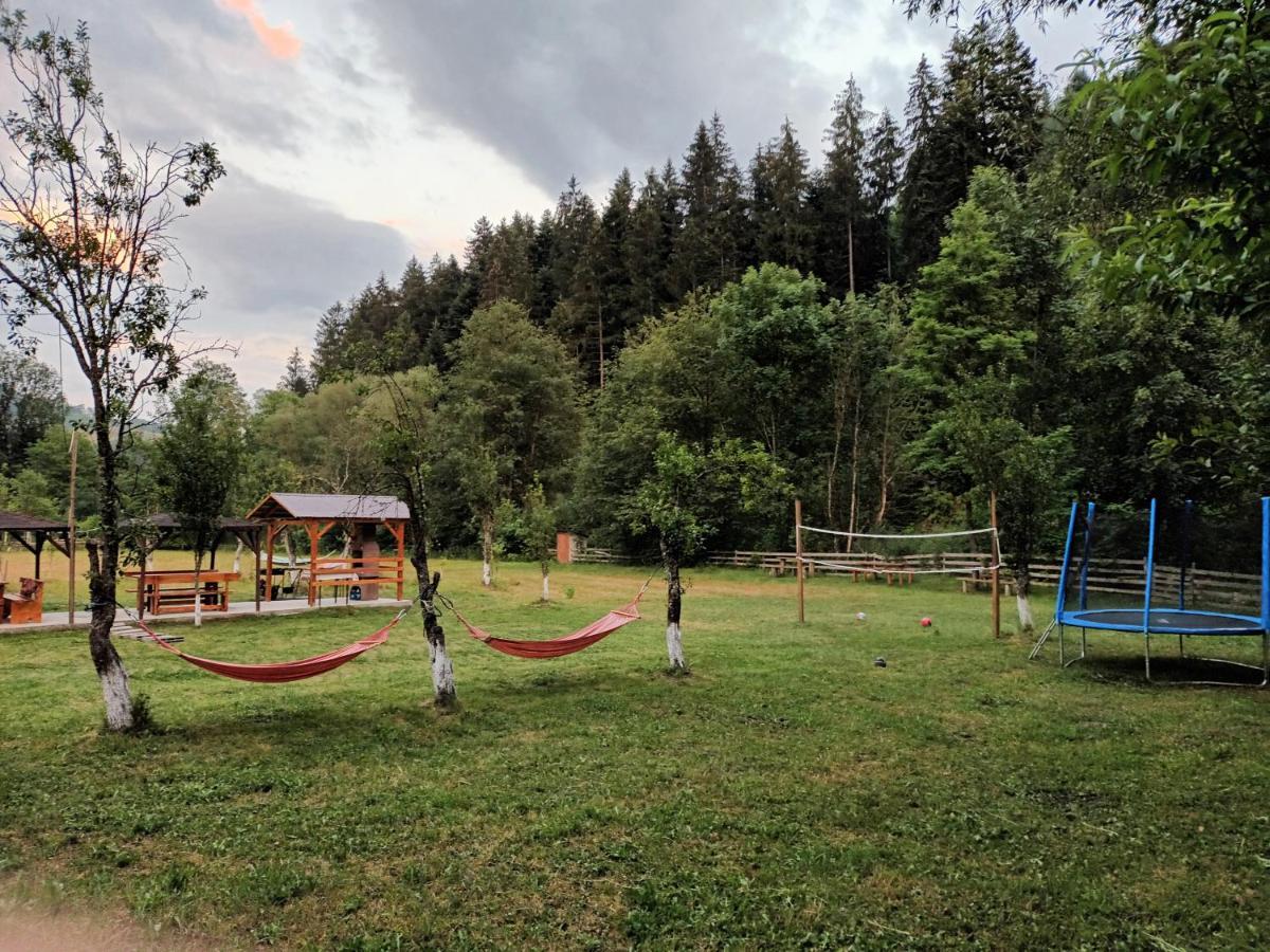 Casa Ursului Villa Aranyosvágás Kültér fotó