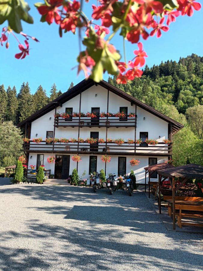 Casa Ursului Villa Aranyosvágás Kültér fotó