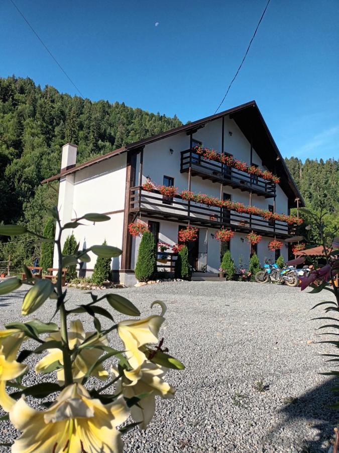 Casa Ursului Villa Aranyosvágás Kültér fotó