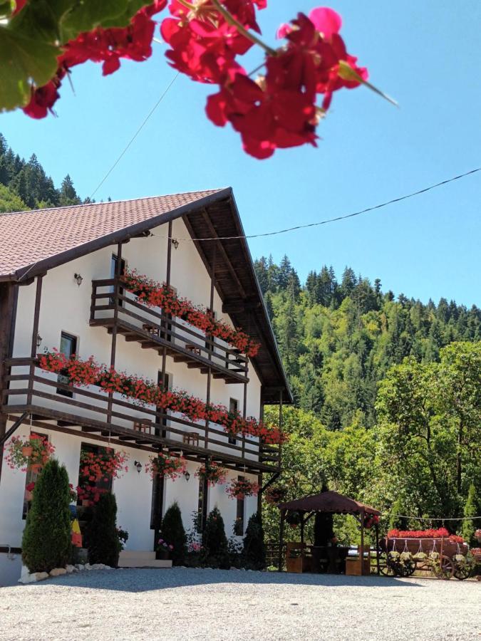 Casa Ursului Villa Aranyosvágás Kültér fotó