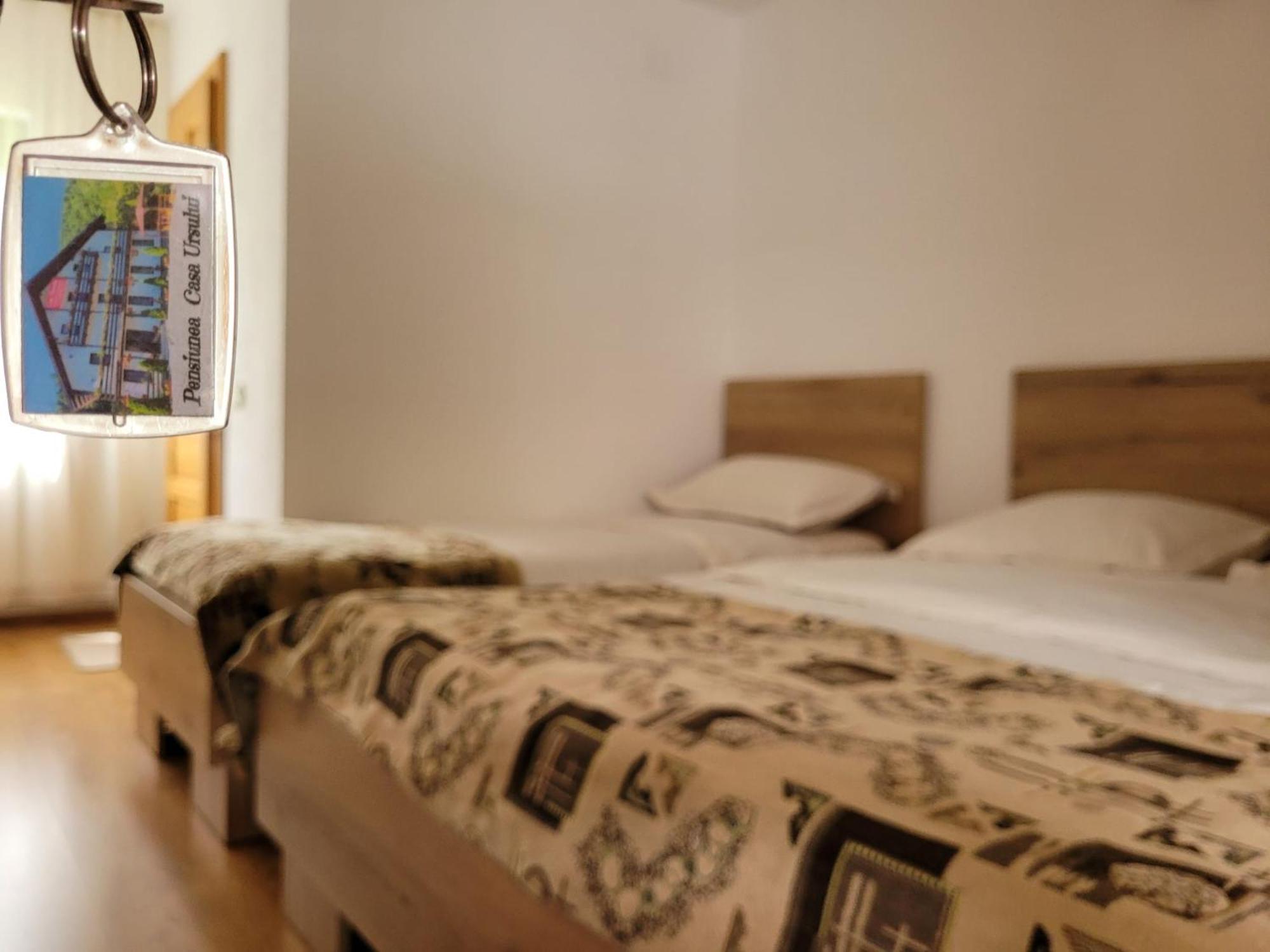 Casa Ursului Villa Aranyosvágás Kültér fotó