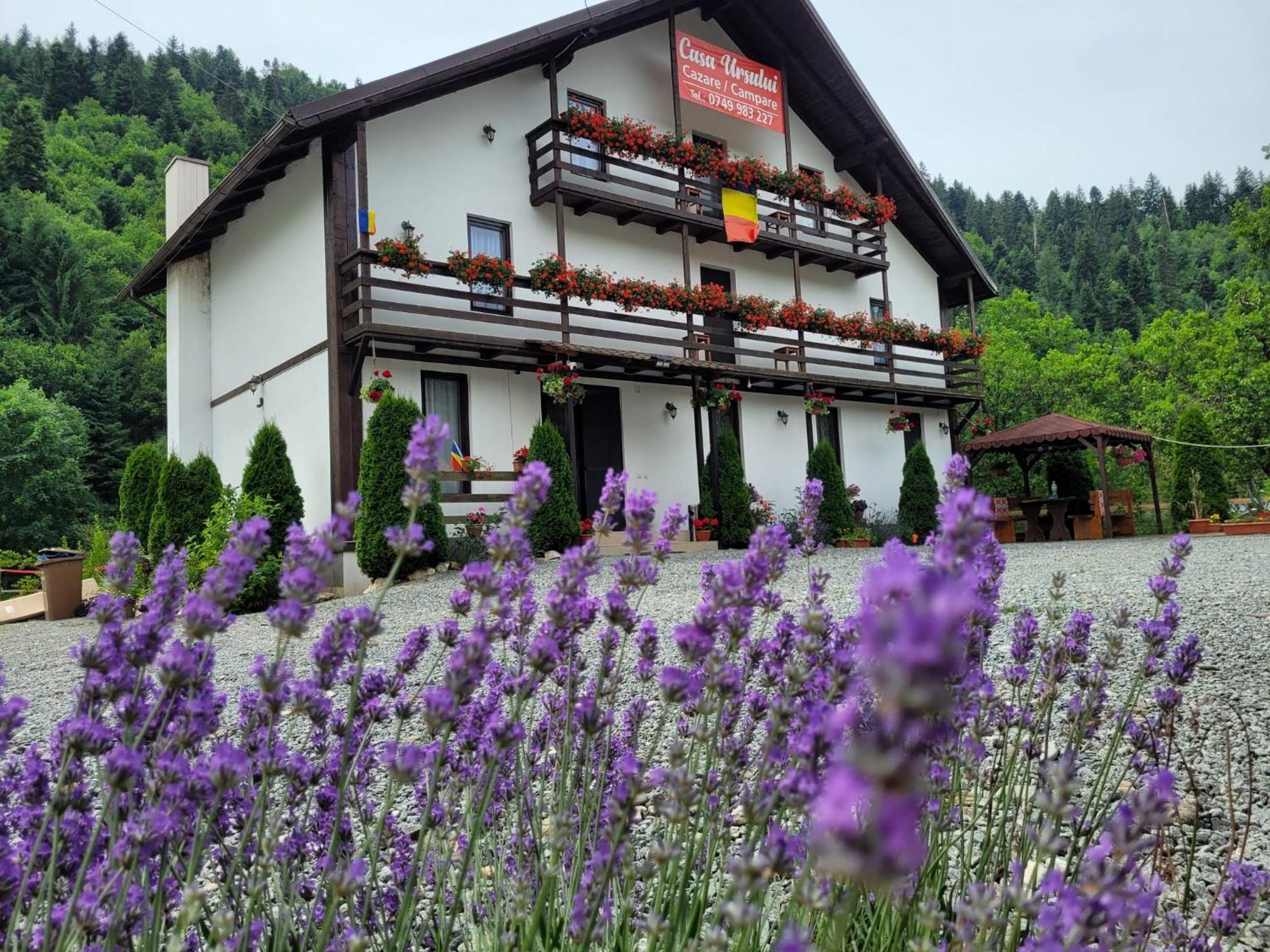 Casa Ursului Villa Aranyosvágás Kültér fotó