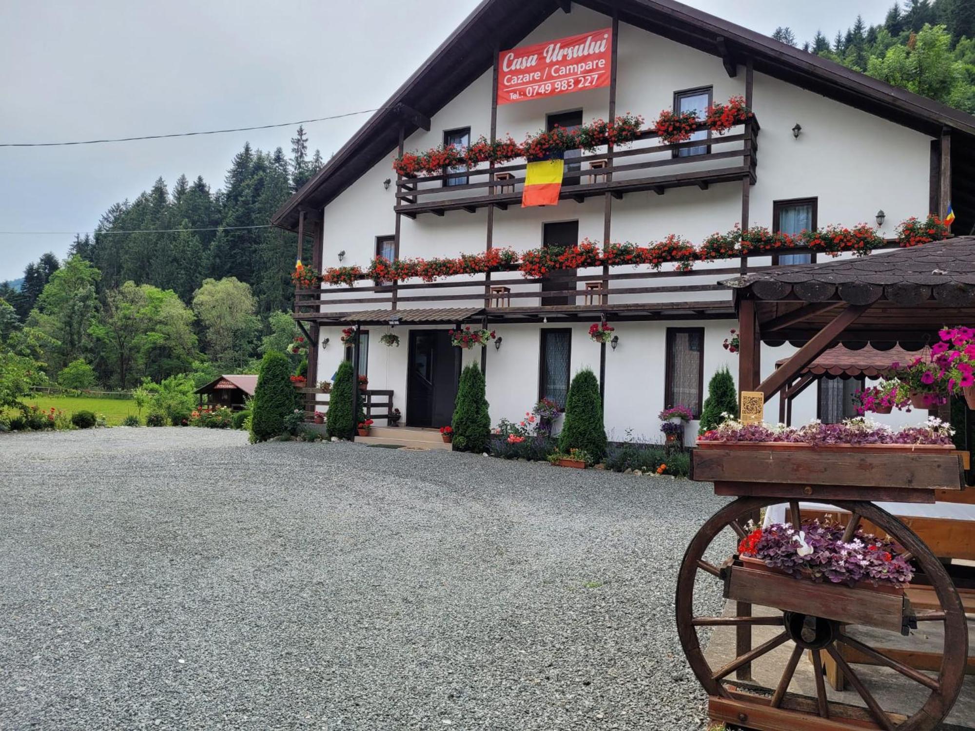Casa Ursului Villa Aranyosvágás Kültér fotó