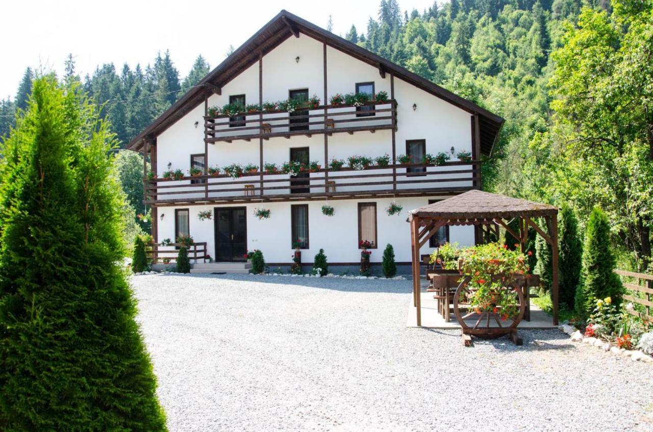 Casa Ursului Villa Aranyosvágás Kültér fotó