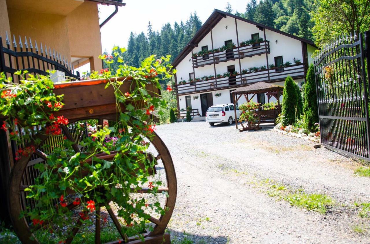 Casa Ursului Villa Aranyosvágás Kültér fotó